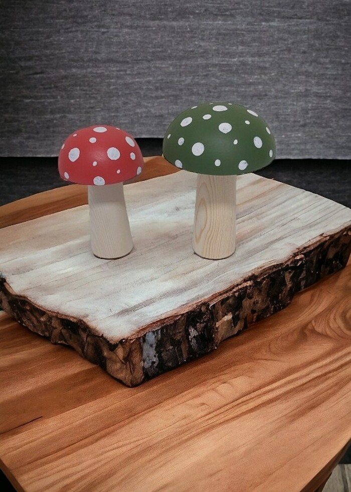 İk adet mantar  - Görsel 2