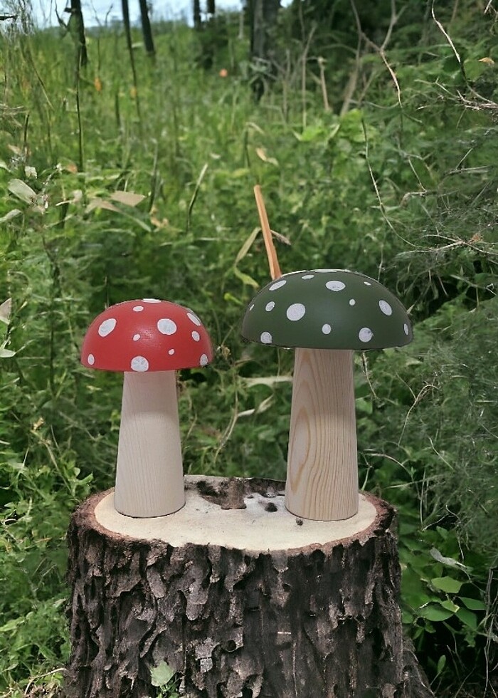 İk adet mantar  - Görsel 4