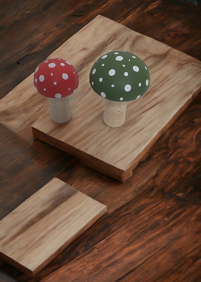 İk adet mantar  - Görsel 5