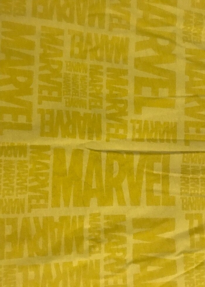 LCW FENERBAHÇELİ TİŞÖRT - Görsel 4