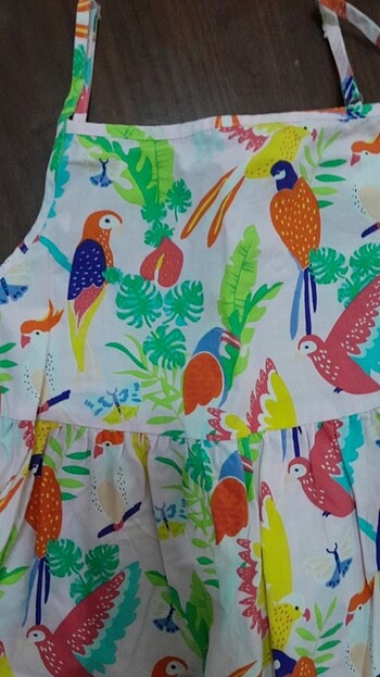 LC Waikiki Elbise