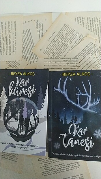 Kar küresi Kar tanesi 