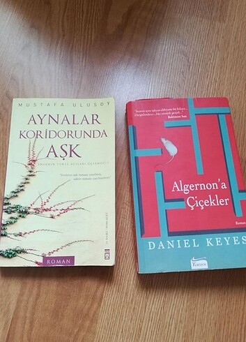 Aynalar Koridorunda Aşk - Algernon'a çiçekler