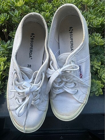 38 Beden Beyaz Superga