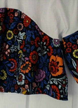 m Beden çeşitli Renk Zara model bluz