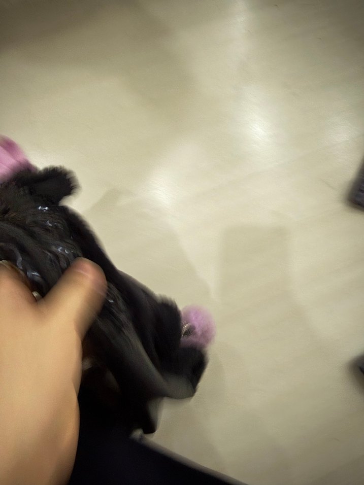 Siyah Kedi Figürlü Peluş çanta - Görsel 3