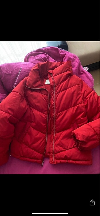 Stradivarius Mont
