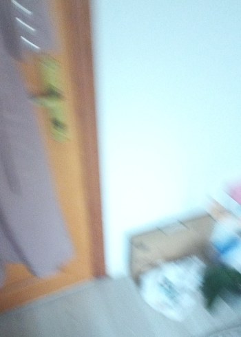 Bej Uzun Kuşaklı Pardesü - Görsel 4