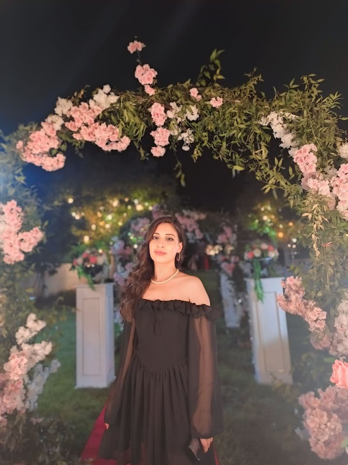 Şeffaf Uzun Kollu Siyah Mini kayık yaka Elbise - Görsel 4