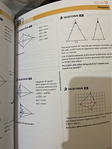  Beden Renk Geometri