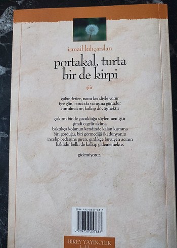 Portakal, Turta Bir de Kirpi - İsmail Kılcarslan - Görsel 2