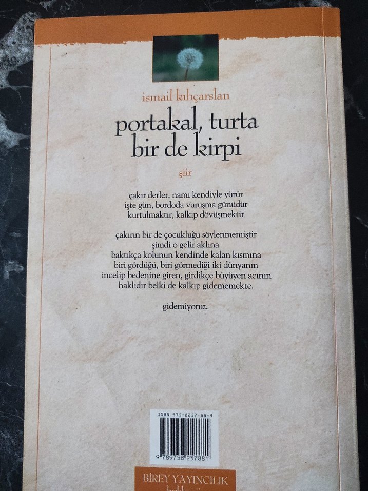 Portakal, Turta Bir de Kirpi - İsmail Kılcarslan - Görsel 2