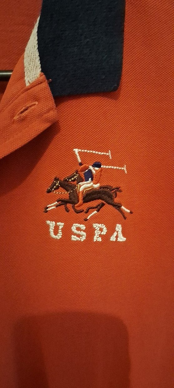 USPA Uzun Kollu Polo Tişört - Görsel 2