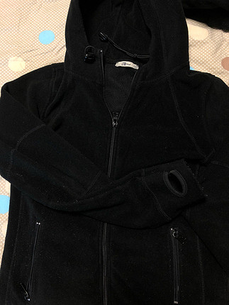 Ltb polar