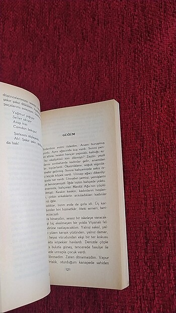  Son kuşlar 