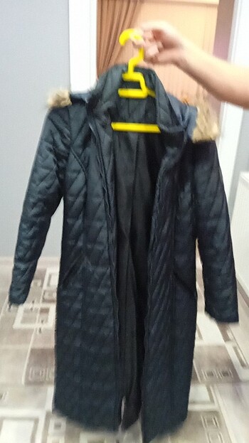 Laciver mont - Görsel 4