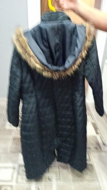 Laciver mont - Görsel 6