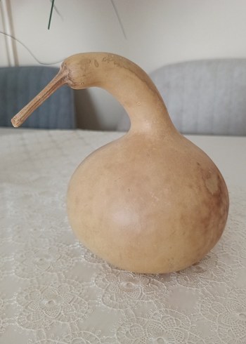 Diğer Su kabağı