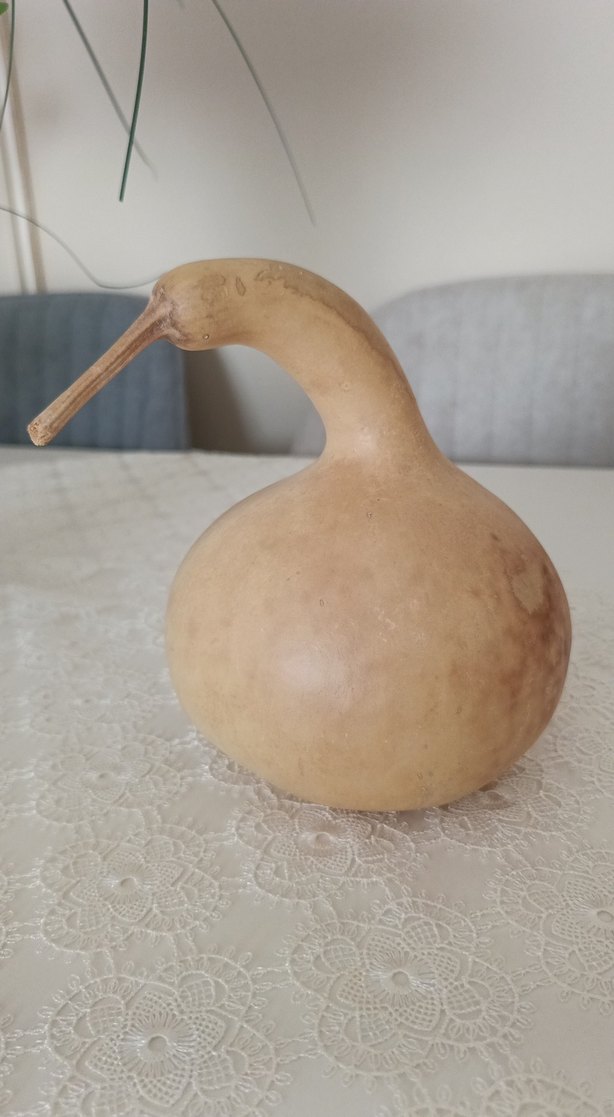 Su kabağı - Görsel 2