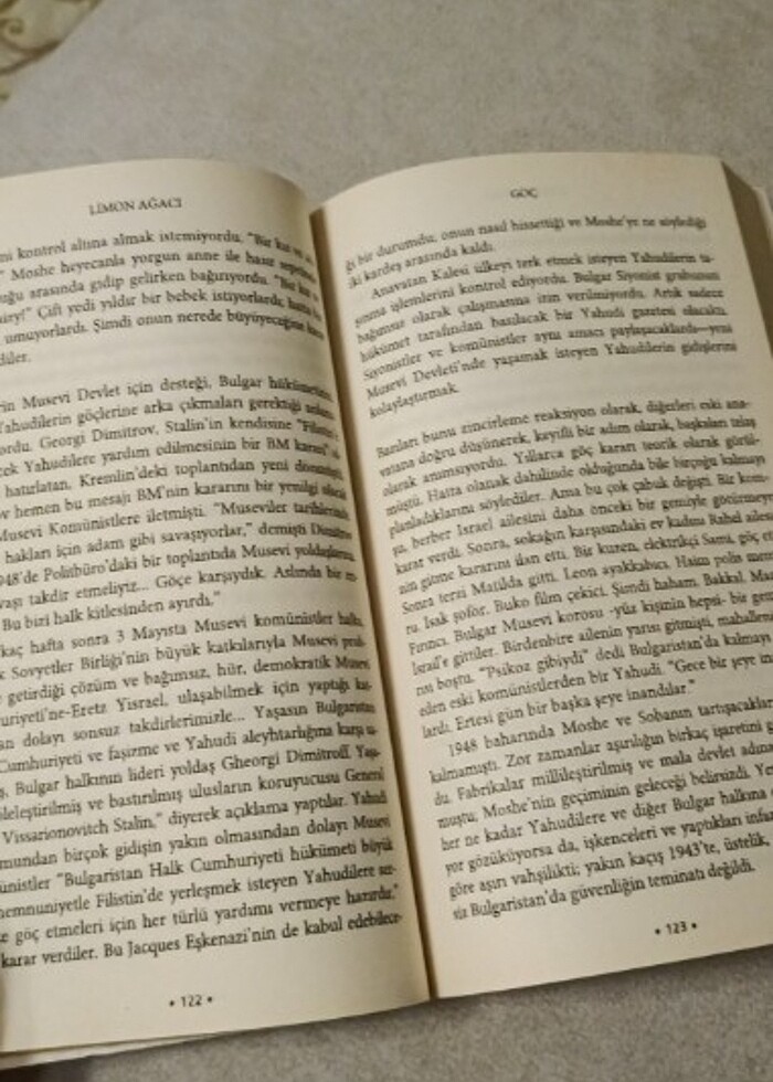 Elif Şafak, LİMON AĞACI - Görsel 4