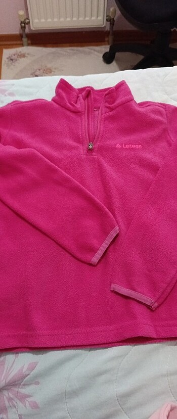 Polar swit - Görsel 2