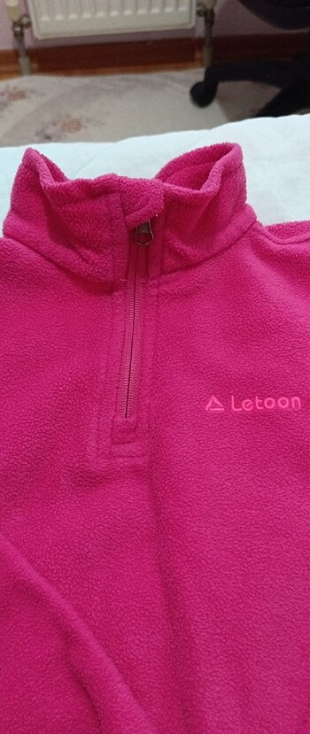 Polar swit - Görsel 3