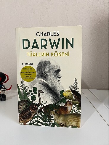 Çeşitli kitaplar Koleksiyonluk