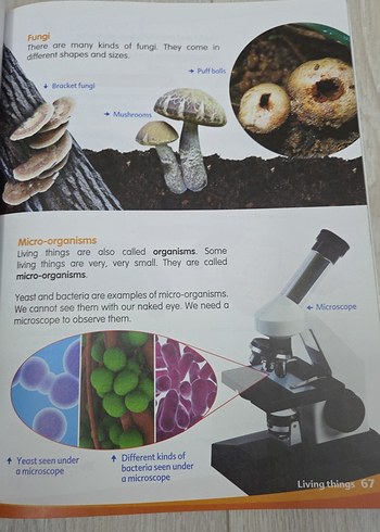 My Pals Are Here! Science 3A Uluslararası Baskı - Görsel 4