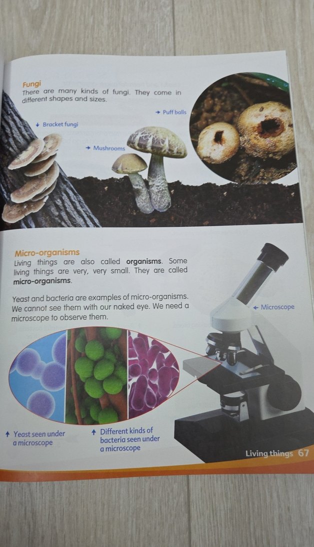 My Pals Are Here! Science 3A Uluslararası Baskı - Görsel 4