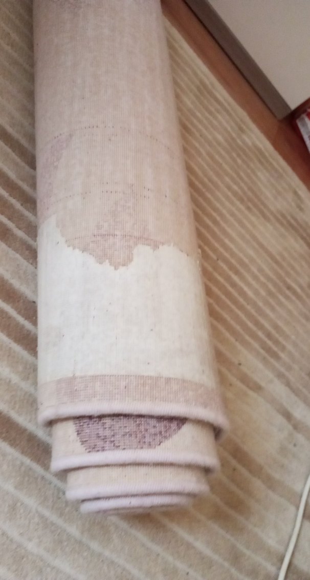 Pastel Mor Çiçek Desenli Modern Halı 3,5 metrekare - Görsel 5