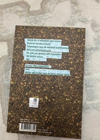 Ah'lar Ağacı - Didem Madak - Görsel 2