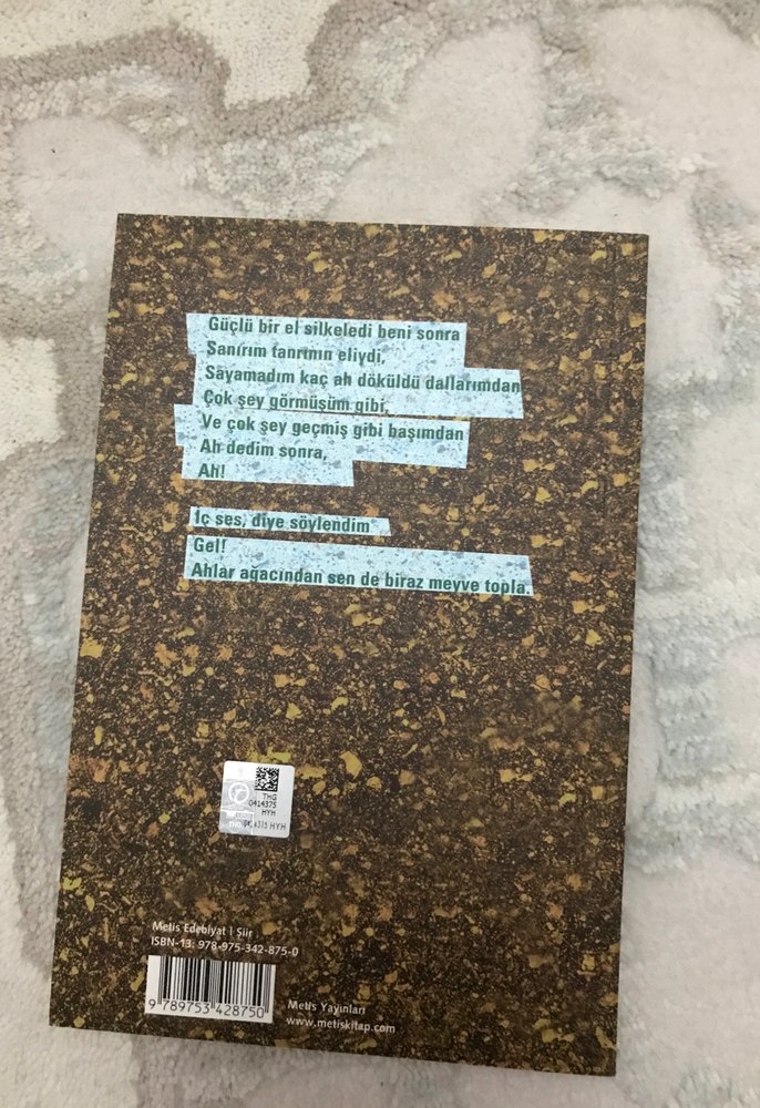 Ah'lar Ağacı - Didem Madak - Görsel 2