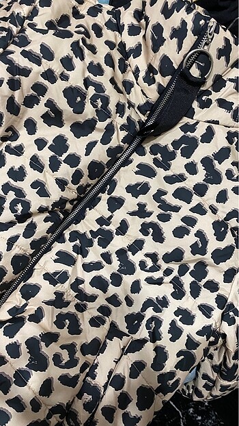 Leopar mont
