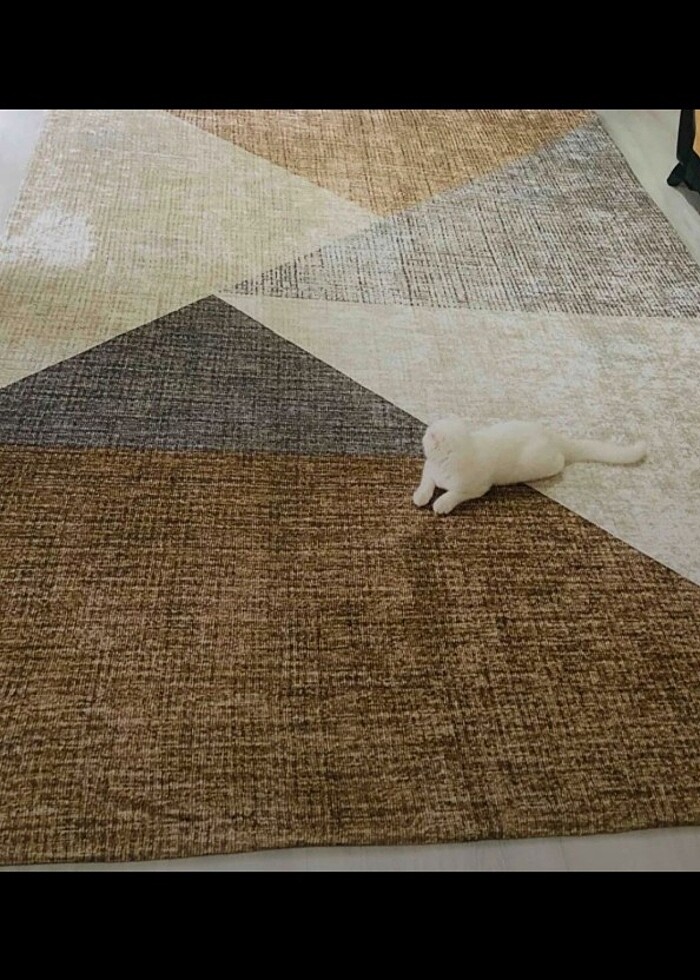 Halı örtüsü  - Görsel 2