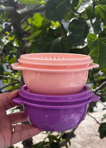 Tupperware Renkli Plastik Mutfak Kapları