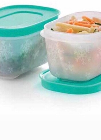 Beden Tupperware Alaska buzluk saklama kabı