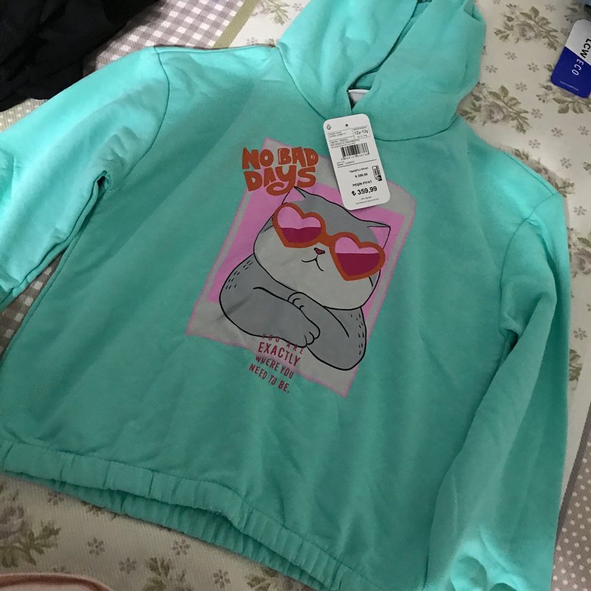 Turkuaz Kapüşonlu Baskılı Kedi Sweatshirt - Görsel 2