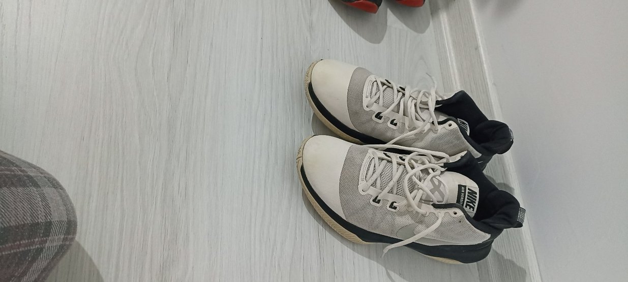 Nike Beyaz Gri Basketbol Ayakkabısı - Görsel 2