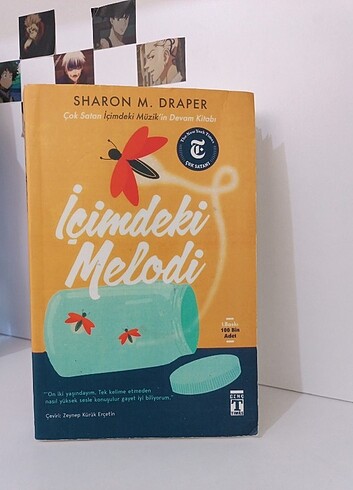  Beden Renk İçimdeki melodi