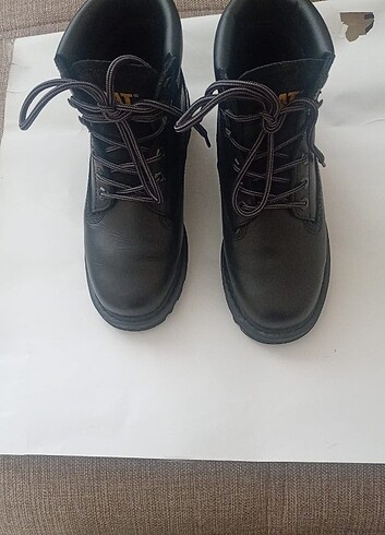 Orjinal Cat Bot - Görsel 3