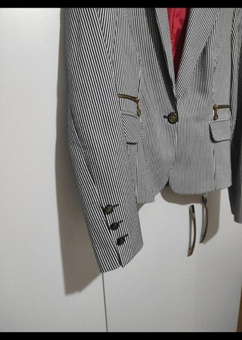 Çizgili Gri Kadın Blazer Ceket - Görsel 3