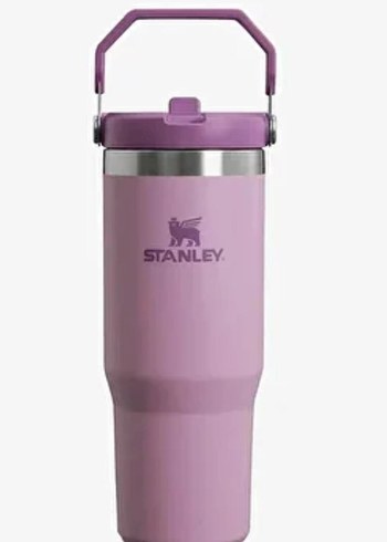 Stanley Mor Çocuk Termosu