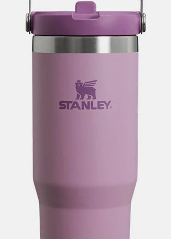 Beden Stanley Mor Çocuk Termosu