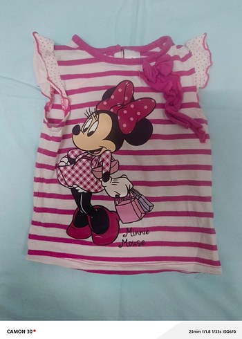 Walt Disney World 18-24 Ay