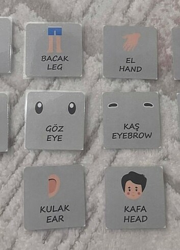 CIRT CIRTLI ETKİNLİK SETİ VÜCUDUMU TANIYORUM 