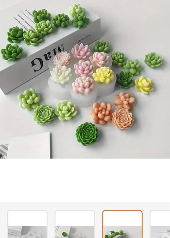 sukulent silikon kalıp - Görsel 3