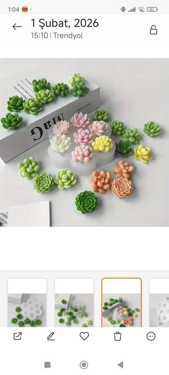 sukulent silikon kalıp - Görsel 3