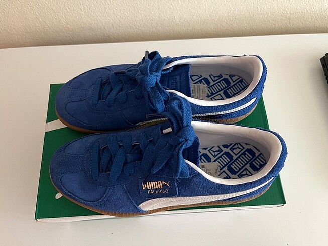 Puma puma palermo