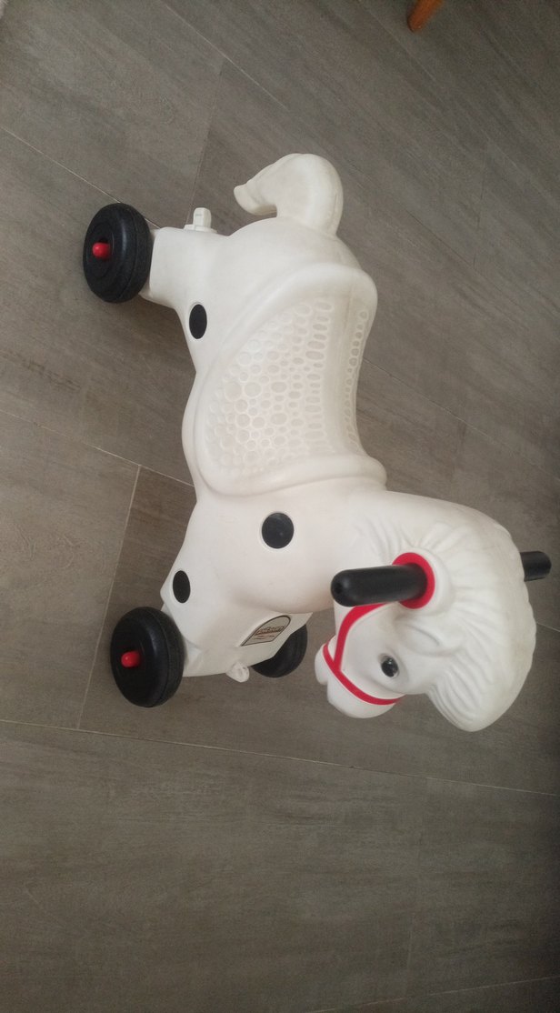 Sallanan at - Görsel 3