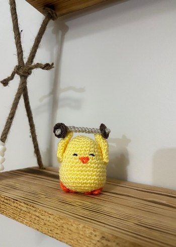 Örgü Civciv Ailesi - Görsel 4